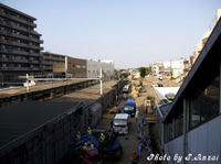 _1490012.jpg