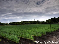 HDR003.jpg