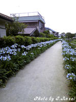 SH3B0498.JPG