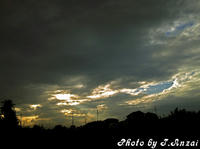 SH3B0504.JPG
