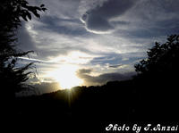 SH3B0518.JPG
