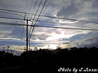 SH3B0521.JPG
