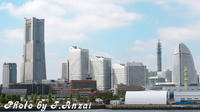 _1740052.jpg