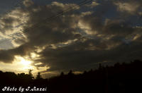 07100cd3.jpeg