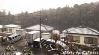 P2410006.jpg