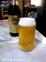 SH3B0656.JPG