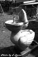 P2580005.jpg