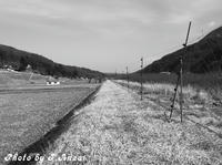 _1850023.jpg