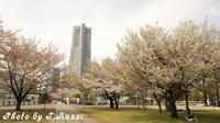 P2650020.jpg