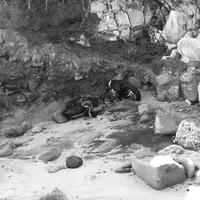P1040029.jpg