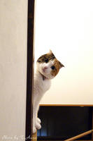 P1050006.jpg