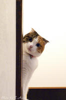 P1050013.jpg