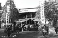 P1110002.jpg