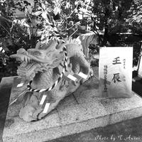 P1110007.jpg