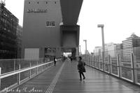 P1140018.jpg