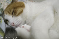 P1350005.jpg