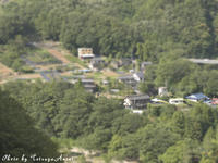 _1950022.jpg