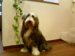 P1000018.JPG
