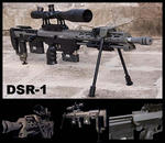 DSR1.jpg