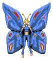 5c707346.gif