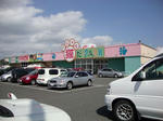 th_DSC00299.jpg