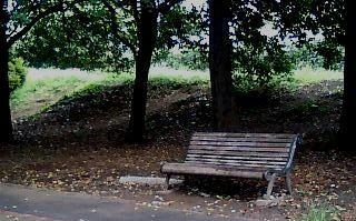 bench