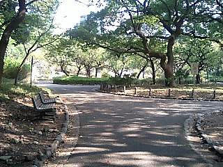 park