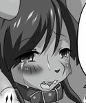okurairi.jpg