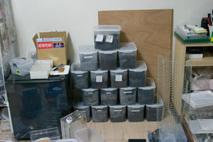 CRW_3567.jpg