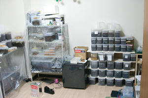 CRW_3570.jpg