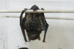 CRW_3579.jpg