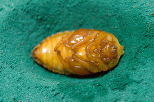 CRW_3563.jpg