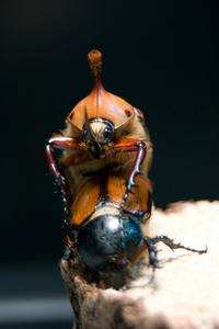 CRW_3618.jpg