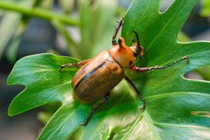 CRW_3742.jpg