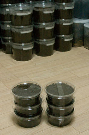 CRW_3777.jpg