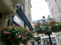 041-1.jpg