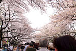 上野恩賜公園