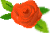 img_9748_4247_0.gif