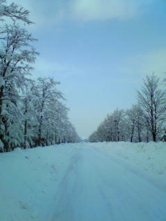 img_9748_48684408_0.jpg