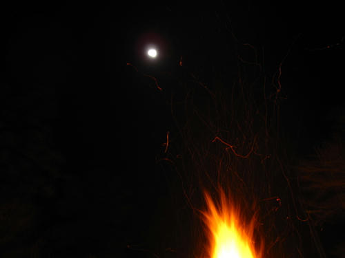 img_9748_57895780_0.jpg