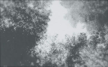 img025_2.jpg