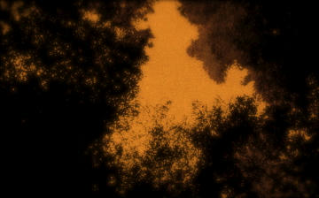 img025_2_2_2_2_2_2_2.jpg