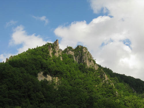 IMG_0702.JPG