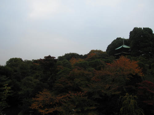 IMG_1063.JPG
