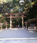 DCF_0002.jpg