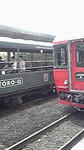 臨時トロッコ列車