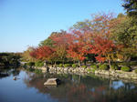 東寺少し色づいた葉