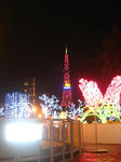 IMG_2901.jpg