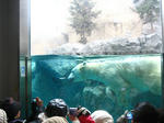 IMG_2919.jpg