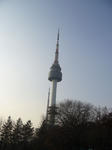 091204002.jpg